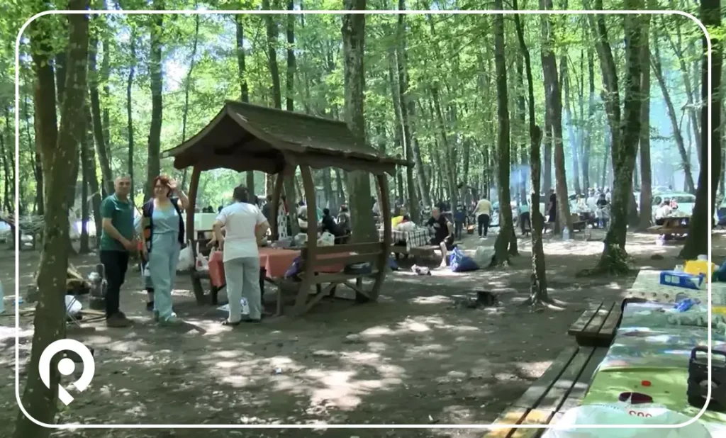 استكشاف غابات بلغراد: رئة إسطنبول الخضراء 8 غابات بلغراد، شواء، حفلات شواء،