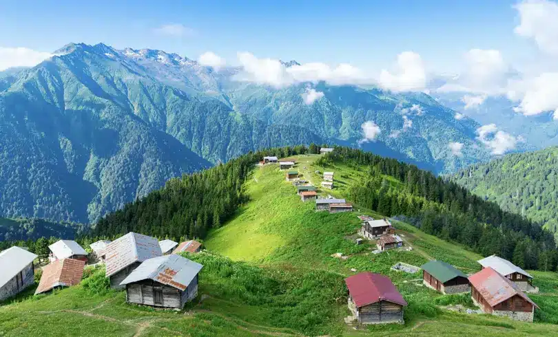 آيدر، طرابزون، برنامج